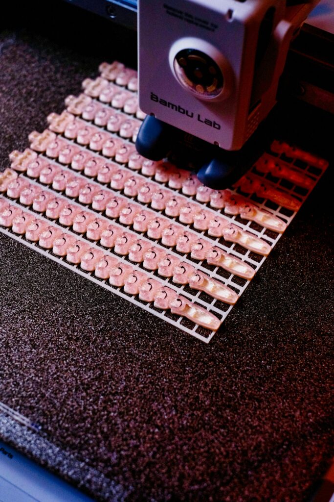 pexels alexeydemidov 32313564 pexels alexeydemidov 32313564